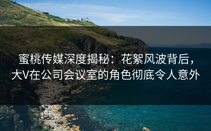 蜜桃传媒深度揭秘：花絮风波背后，大V在公司会议室的角色彻底令人意外