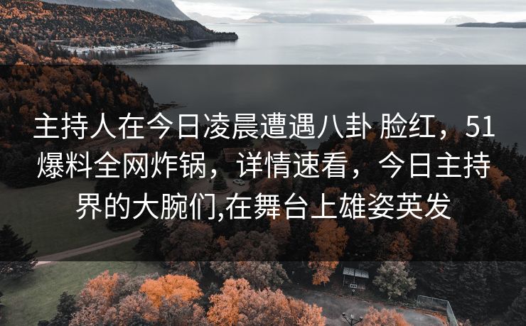 主持人在今日凌晨遭遇八卦 脸红,51爆料全网炸锅,详情速看,今日主持界的大腕们,在舞台上雄姿英发